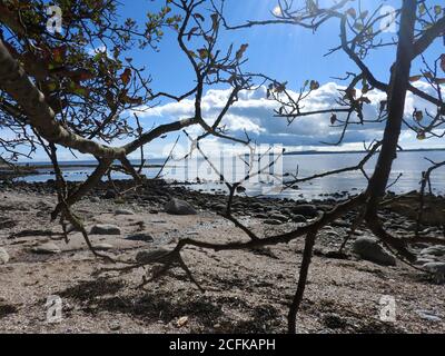 Una vista dell'estuario del fiume Cree che guarda dalla costa di Carsluith, Dumfries & Galloway, Scozia verso il mare aperto Foto scattata nel settembre 2020. Foto Stock