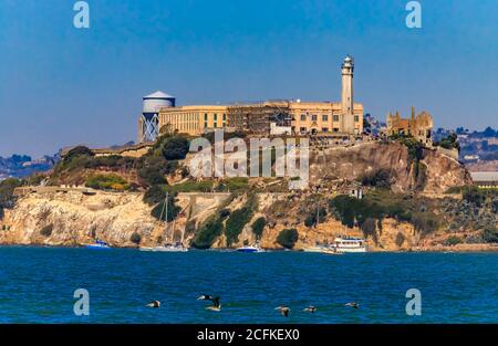 La famosa isola di Alcatraz, ex prigione di San Francisco Bay, California, USA con pellicani che volano in primo piano Foto Stock