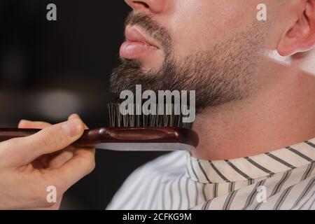 La testa e la barba tagliate a pelo in un barbiere. Barber mette e combatte la barba del cliente. Il processo di creazione di una pettinatura e di styling di una barba per gli uomini Foto Stock