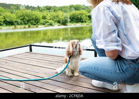 Un'immagine tagliata di una donna irriconoscibile seduta con il suo cucciolo cavalier sul molo e guardandosi l'un l'altro. Foto Stock