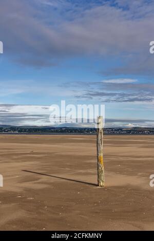 Un primo piano di Nn montante di legno o marcatore sulla spiaggia delicatamente scaffalatura a Tentsmuir Point sul lato sud dell'estuario del Tay. Foto Stock