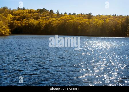 La luce del sole si riflette sulle acque blu con il fogliame giallo dell'autunno sullo sfondo del Burr Pond state Park a Torrington, Connecticut, in un luogo soleggiato Foto Stock