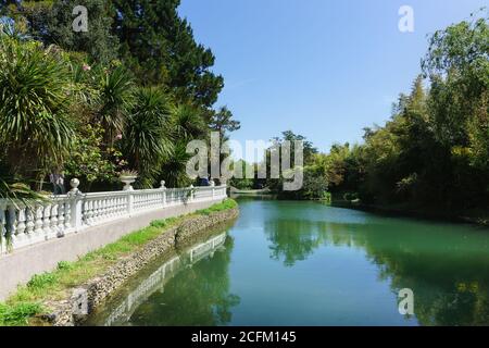 Parco Yuzhnye Kultury, Adler, Sochi, Russia - 05 maggio 2019: Dracaena, Magnolia e altre piante meridionali sulla riva di uno stagno nella città vecchia Parco, fe Foto Stock