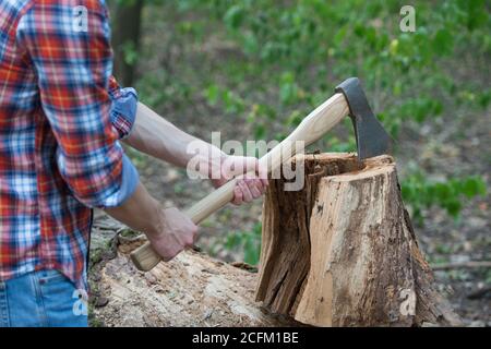 Taglio di una legna da ardere. Tritare il legno. Tritatutto in legno a mani maschili. Attrezzature Lumbermans. Silvicoltura. Raccolta del legname. Natura estiva. Foto Stock