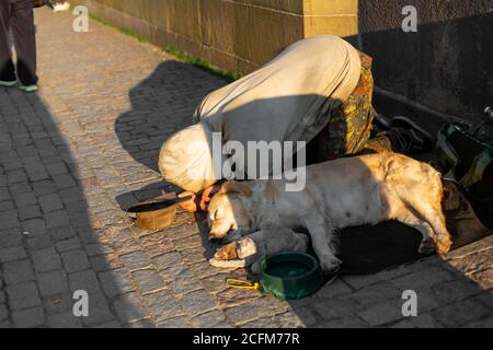 Una donna si inginocchia accanto a un cane che dorme e a un cucciolo che chiede elemosina ai passanti sul Ponte Carlo di Praga. Foto Stock