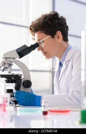 Giovane donna in bianco e guanti che lavorano con il microscopio in laboratorio Foto Stock