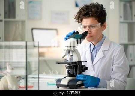 Giovane ricercatrice contemporanea che guarda gli anticorpi al microscopio Foto Stock