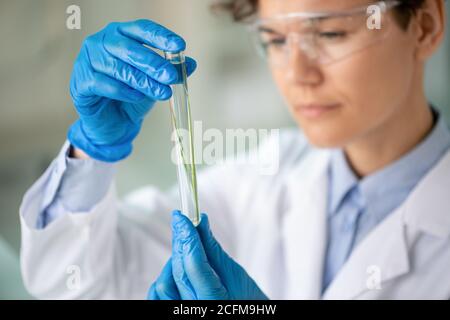 Giovane chimico contemporaneo o ricercatore che guarda la pianta verde dentro matraccio Foto Stock