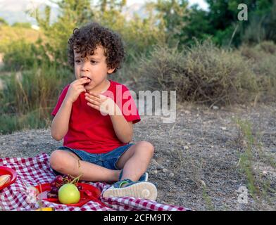 Bambino nel cespuglio seduto rame rosso e bianco scacchi tovaglia tipo picnic piatto con frutta da cui mangia un'uva Foto Stock