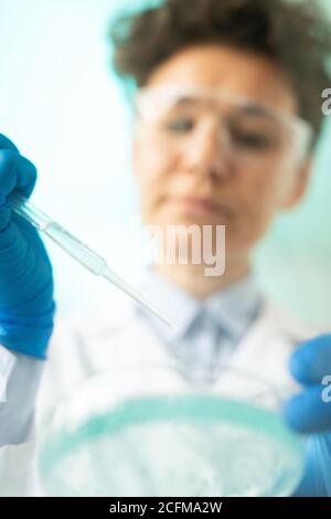Mani guelate di un lavoratore di laboratorio femminile che tiene sopra la pipetta di plastica piastra petri Foto Stock