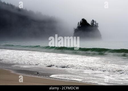 Sea stack sulla costa di Washington in nebbia, vicino a Toleak Point, Olympic National Park, Washington, Stati Uniti Foto Stock