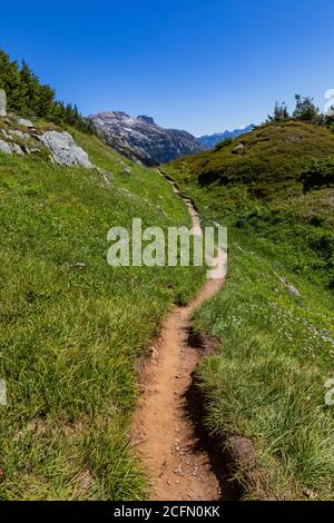 Sentiero laterale per un punto panoramico dal Sahale Arm Trail, con Johannesburg Mountain in lontananza, North Cascades National Park, Washington state, Stati Uniti Foto Stock