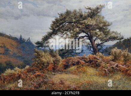 Walton Frank - su Holmbury Hill St. Mary vicino Dorking - British School - 19 ° secolo Foto Stock