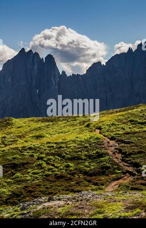 Prato subalpino lungo il Sahale Arm Trail con le scogliere ombreggiate dei Triplets e Cascade Peak, North Cascades National Park, Washington state, USA Foto Stock