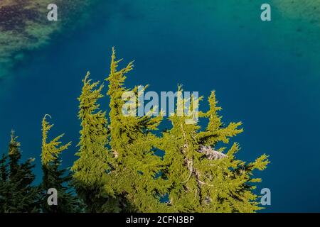 Doubtful Lake, vista dal sentiero per Sahale Arm, North Cascades National Park, Washington state, USA Foto Stock