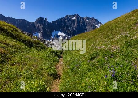 Sentiero laterale per un punto panoramico dal Sahale Arm Trail, con Johannesburg Mountain in lontananza, North Cascades National Park, Washington state, Stati Uniti Foto Stock