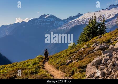 Karen Rentz scendendo attraverso prati subalpini lungo Cascade Pass Trail, North Cascades National Park, Washington state, USA Foto Stock