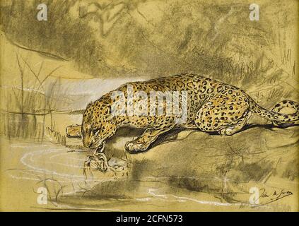 Swan John Macallan - Drinking leopardo da Pond - Inglese Scuola - 19 ° secolo Foto Stock