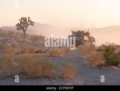 Un sistema di armi mobili M1128 assegnato a Echo Troop, 2° Squadron, 1° reggimento di cavalleria, 1° squadra di combattimento Stryker Brigade, 4° divisione di fanteria, si sposta attraverso l'area di addestramento durante la parte combinata del fuoco vivo del National Training Center Rotation 20-09 a Fort Irwin, California, 25 agosto 2020. Il fuoco vivo è stato l'evento di allenamento finale della rotazione NTC 20-09. (STATI UNITI Esercito foto di Capt. Daniel Parker) Foto Stock