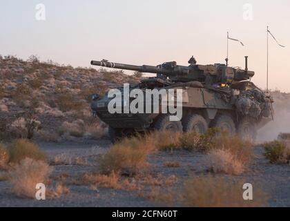 Un sistema di armi mobili M1128 assegnato a Echo Troop, 2° Squadron, 1° Regiment Cavalleria, 1° Team di combattimento Stryker Brigade, 4° Divisione Fanteria, si sposta attraverso l'area di allenamento durante la parte combinata del fuoco vivo del National Training Center Rotation 20-09, a Fort Irwin, California, 25 agosto 2020. La prima SBCT eseguì la rotazione NTC 20-09 con il supporto di unità aggiuntive dal servizio attivo, le riserve dell'Esercito degli Stati Uniti, la Guardia Nazionale dell'Esercito degli Stati Uniti e l'Aeronautica militare degli Stati Uniti. (STATI UNITI Esercito foto di Capt. Daniel Parker) Foto Stock