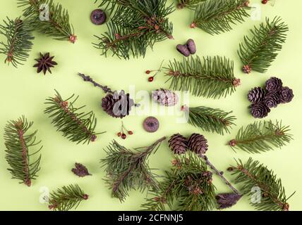 Modello naturale natalizio con rami di abete, bacche di rowan, coni di pino e fisico rosso brillante su uno sfondo verde chiaro. Composizione vista dall'alto Foto Stock