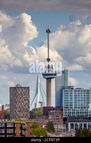 Olanda, Rotterdam, skyline della città. Kop van Zuid. Ponte Erasmus, Euromast, De Rotterdam. Foto Stock