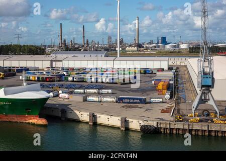Paesi Bassi, Rotterdam, Porto di Rotterdam, linea Stena. Roll-on, Roll-off, luce. Semirimorchi. Foto Stock