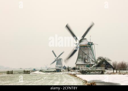 Paesi Bassi, Aarlanderveen, Mulini a vento nella neve. Inverno. Foto Stock