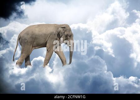 Bandiera orizzontale con elefante sopra cumulonimbus tempesta. Simpatico elefante nel cielo. Scena fantastica con un elefante che cammina sulle nuvole. Mock up t Foto Stock