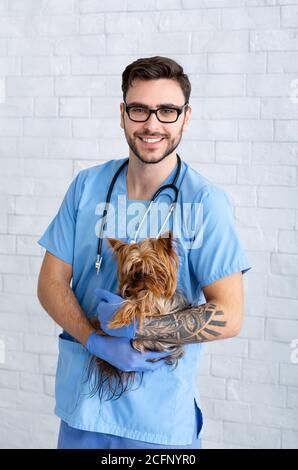 Ritratto di bel medico di veterinario maschile che tiene adorabile Yorkshire terrier in clinica Foto Stock