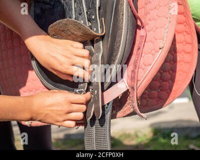 Ragazza set fibbia sulla cintura addome di sella classica. Preparazione della sella inglese per la guida. Lezione estiva di equitazione Foto Stock