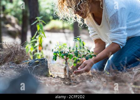 Il concetto di celebrazione di giorno della terra con donna felice che pianta un nuovo albero nella foresta - senza deforestazione e rispetto per il concetto di mondo - giardinaggio ac Foto Stock