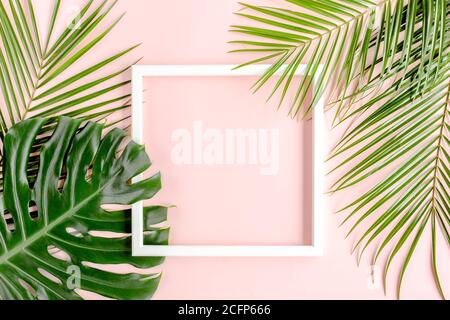 Texture foglia di palma tropicale Monstera e cornice bianca per il testo su sfondo rosa. Disposizione piatta, vista dall'alto Foto Stock