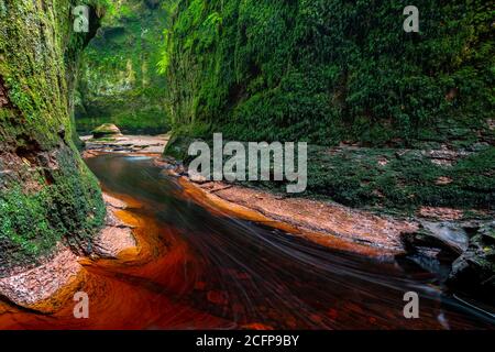 Scozia, Stirlingshire - il Carnock Burn scorre attraverso Finnich Glen, una gola di arenaria rossa con una formazione rocciosa conosciuta come il pulpito del Diavolo Foto Stock