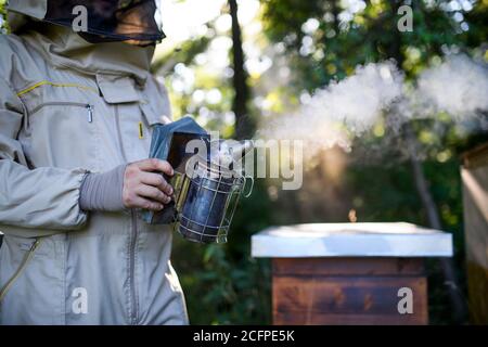 Uomo irriconoscibile apicoltore che lavora in apiary, usando il fumatore dell'ape. Foto Stock