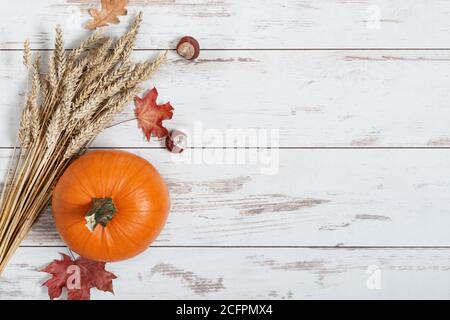 Zucca, mazzo di grano e foglie secche su sfondo bianco di legno vista dall'alto. Composizione autunnale. Giorno di ringraziamento. Foto Stock