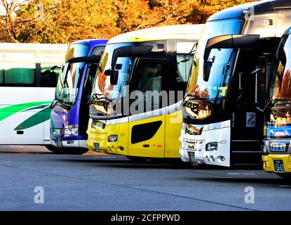 Tour in pullman in Giappone Foto Stock