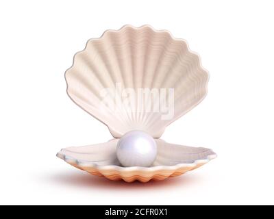 Rendering 3d Seashell Pearl Inside Foto Stock