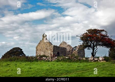 Capel Lligwy è una cappella in rovina del 12 ° secolo vicino a Rhos Lligwy ad Anglesey, Galles del Nord. E' ora un edificio classificato di grado II. Foto Stock