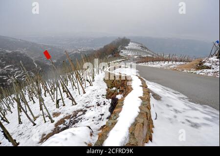 Sulla riva destra del fiume Rodano, a sud di Lione, tra Ampuis, Saint-Cyr-sur-le-Rhone e Tupin-et-Semons, Cote-Rotie vigneti coperti di neve Foto Stock