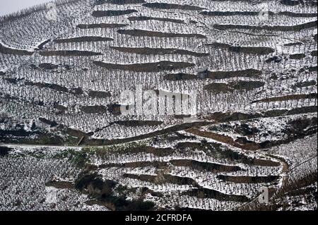 Sulla riva destra del fiume Rodano, a sud di Lione, tra Ampuis, Saint-Cyr-sur-le-Rhone e Tupin-et-Semons, Cote-Rotie vigneti coperti di neve Foto Stock