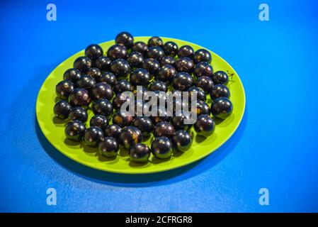 Frutti di Jaboticaba (Myrciaria cavuliflora) serviti su un piatto verde. Sfondo blu. Gli alberi di Jabuticaba sono alberi che si possono trovare in quasi tutti i Brazi Foto Stock