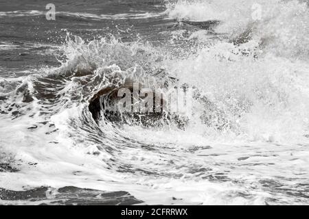 Mari ruvidi con onde che si infrangono e si infrangono Foto Stock