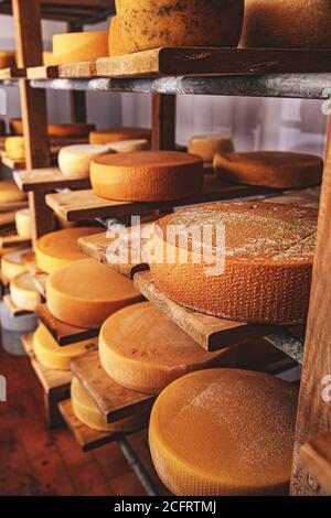 Ruote di formaggio in un magazzino di stagionatura in cantina prodotti lattiero-caseari sui ripiani in legno Foto Stock