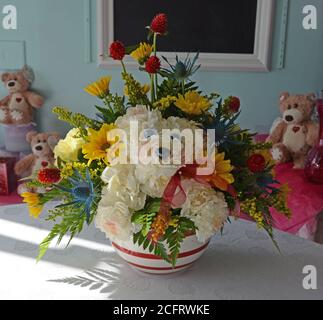 Disposizione dei fiori di un orso bianco di garofano o di un cucciolo in un vaso a strisce. Orsacchiotti, fiori, regali. Foto Stock