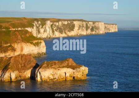 Guardando di fronte alle scogliere di Bempton da Thornwick Bay sul Costa dello Yorkshire Foto Stock