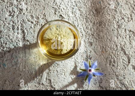 Una ciotola di olio di borragine con fiori di Borago officinalis freschi Foto Stock