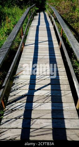 USA, NY state, Saugerties, passerella in legno sopraelevata, più alta dell'alta marea, che conduce al faro di Saugerties Foto Stock