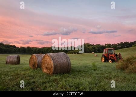 Il trattore rosso e le balle di fieno appena rotolate poggiano sul rotolamento collina con suggestivo paesaggio nuvoloso all'alba, creando un rustico rurale scena Foto Stock