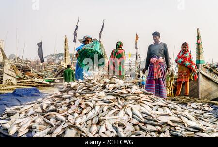 Chittagong, Bangladesh, 23 dicembre 2017: Pescatori che portano pesce fresco dalla barca al porto sul fiume Karnafuli a Chittagong Foto Stock